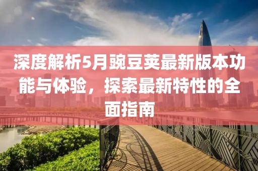 深度解析5月豌豆荚最新版本功能与体验，探索最新特性的全面指南