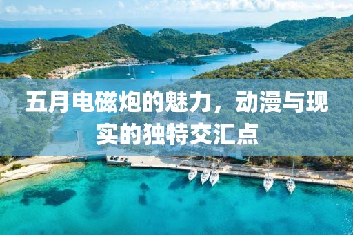 五月电磁炮的魅力，动漫与现实的独特交汇点