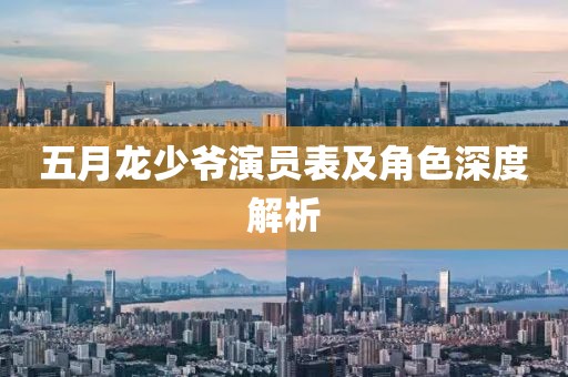 五月龙少爷演员表及角色深度解析