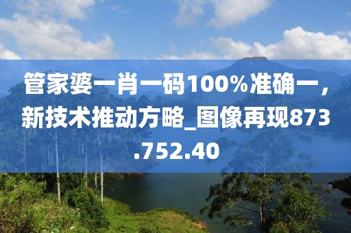 管家婆一肖一码100%准确一，新技术推动方略_图像再现873.752.40