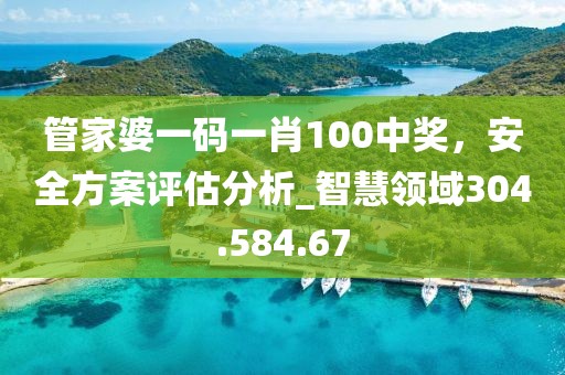 管家婆一码一肖100中奖，安全方案评估分析_智慧领域304.584.67