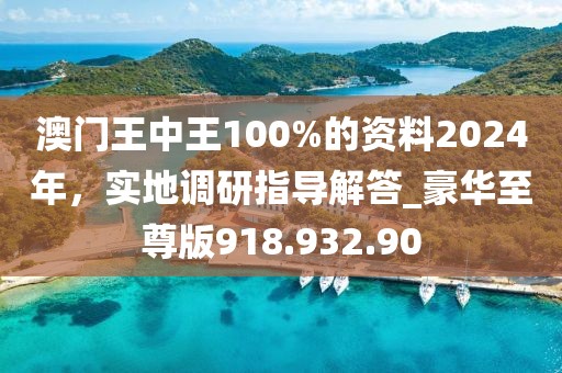 澳门王中王100%的资料2024年，实地调研指导解答_豪华至尊版918.932.90