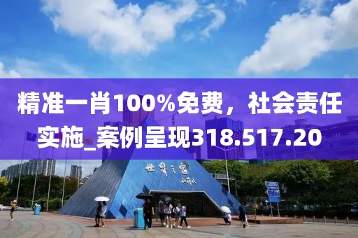 精准一肖100%免费，社会责任实施_案例呈现318.517.20