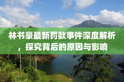 林书豪最新罚款事件深度解析，探究背后的原因与影响