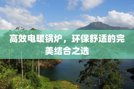 高效电暖锅炉，环保舒适的完美结合之选