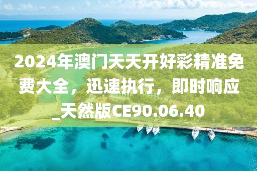 2024年澳门天天开好彩精准免费大全，迅速执行，即时响应_天然版CE90.06.40
