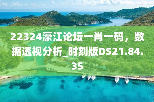 22324濠江论坛一肖一码，数据透视分析_时刻版DS21.84.35