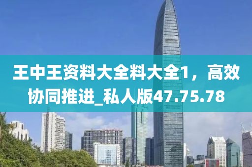 王中王资料大全料大全1，高效协同推进_私人版47.75.78