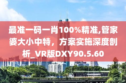 最准一码一肖100%精准,管家婆大小中特，方案实施深度剖析_VR版DXY90.5.60