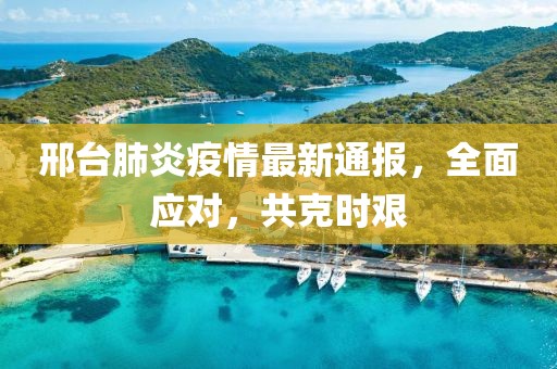 邢台肺炎疫情最新通报，全面应对，共克时艰