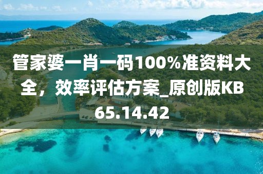 管家婆一肖一码100%准资料大全，效率评估方案_原创版KB65.14.42