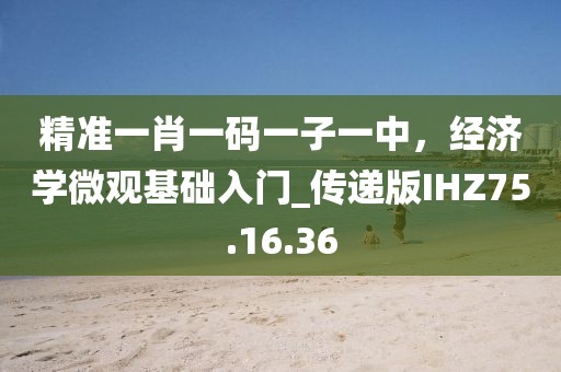 精准一肖一码一子一中，经济学微观基础入门_传递版IHZ75.16.36