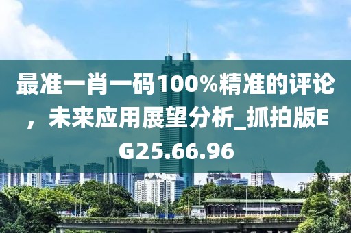 最准一肖一码100%精准的评论，未来应用展望分析_抓拍版EG25.66.96