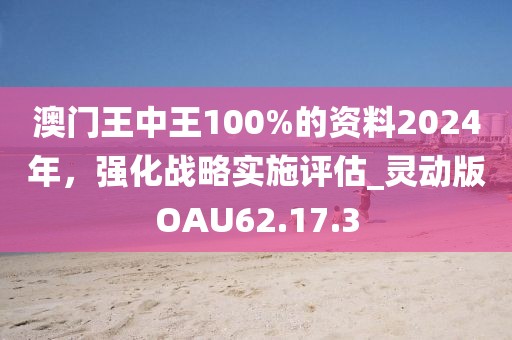 澳门王中王100%的资料2024年，强化战略实施评估_灵动版OAU62.17.3
