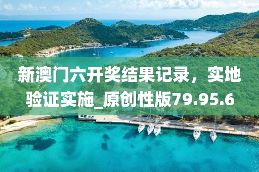 新澳门六开奖结果记录，实地验证实施_原创性版79.95.6