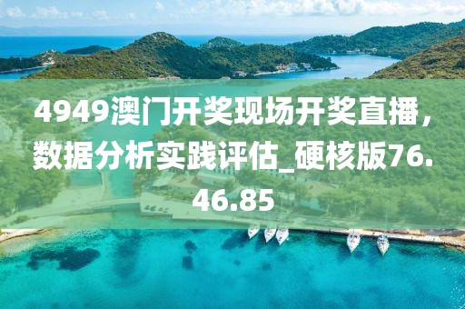 4949澳门开奖现场开奖直播，数据分析实践评估_硬核版76.46.85