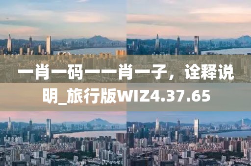一肖一码一一肖一子，诠释说明_旅行版WIZ4.37.65