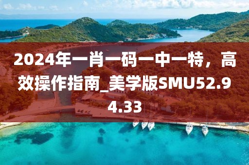 2024年一肖一码一中一特，高效操作指南_美学版SMU52.94.33