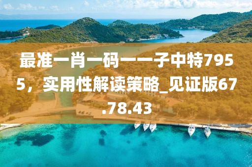 最准一肖一码一一子中特7955，实用性解读策略_见证版67.78.43