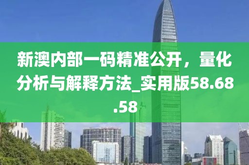 新澳内部一码精准公开，量化分析与解释方法_实用版58.68.58