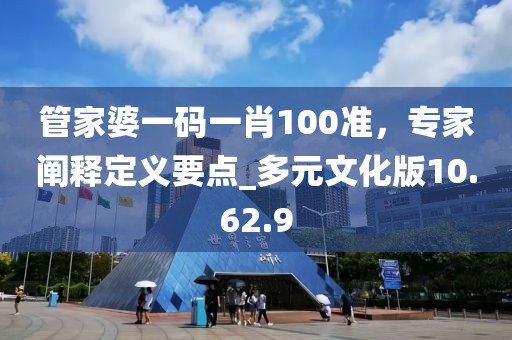 管家婆一码一肖100准，专家阐释定义要点_多元文化版10.62.9