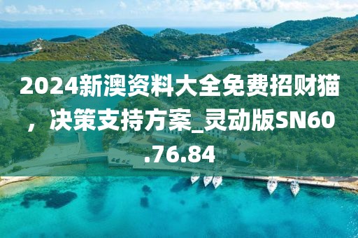 2024新澳资料大全免费招财猫，决策支持方案_灵动版SN60.76.84