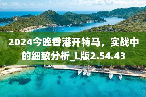 2024今晚香港开特马，实战中的细致分析_L版2.54.43