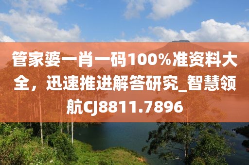 管家婆一肖一码100%准资料大全，迅速推进解答研究_智慧领航CJ8811.7896