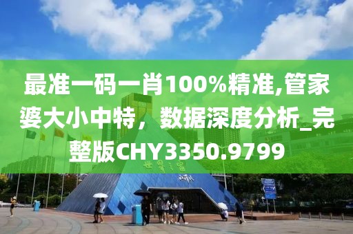 最准一码一肖100%精准,管家婆大小中特，数据深度分析_完整版CHY3350.9799