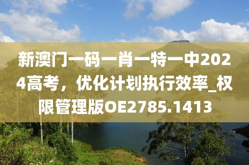 新澳门一码一肖一特一中2024高考，优化计划执行效率_权限管理版OE2785.1413