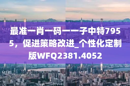 最准一肖一码一一子中特7955，促进策略改进_个性化定制版WFQ2381.4052