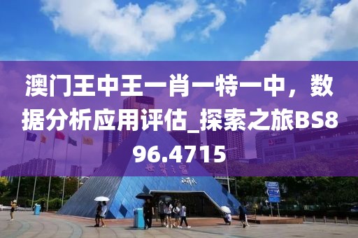 澳门王中王一肖一特一中，数据分析应用评估_探索之旅BS896.4715