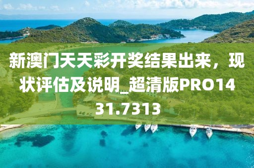 新澳门天天彩开奖结果出来，现状评估及说明_超清版PRO1431.7313
