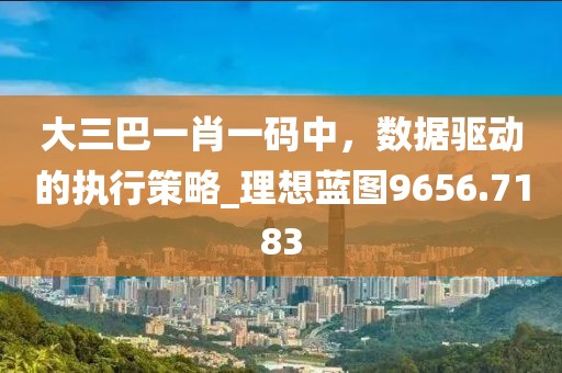 大三巴一肖一码中，数据驱动的执行策略_理想蓝图9656.7183