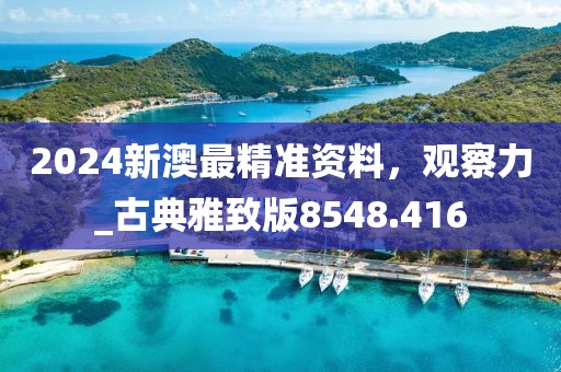 2024新澳最精准资料，观察力_古典雅致版8548.416