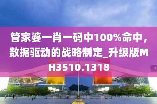 管家婆一肖一码中100%命中，数据驱动的战略制定_升级版MH3510.1318