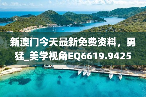 新澳门今天最新免费资料，勇猛_美学视角EQ6619.9425