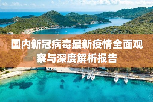 国内新冠病毒最新疫情全面观察与深度解析报告