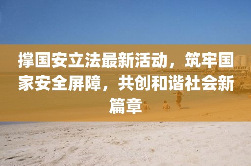撑国安立法最新活动，筑牢国家安全屏障，共创和谐社会新篇章