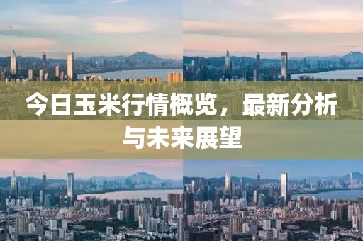 今日玉米行情概览，最新分析与未来展望