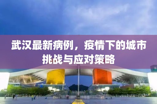 武汉最新病例，疫情下的城市挑战与应对策略