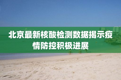 北京最新核酸检测数据揭示疫情防控积极进展