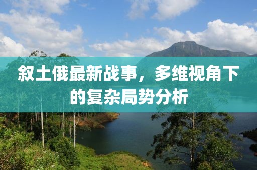 叙土俄最新战事，多维视角下的复杂局势分析