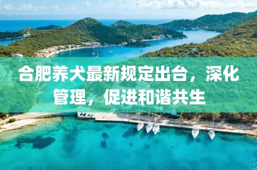 合肥养犬最新规定出台，深化管理，促进和谐共生