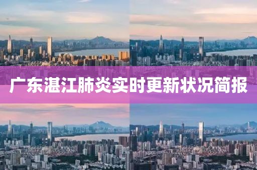 广东湛江肺炎实时更新状况简报