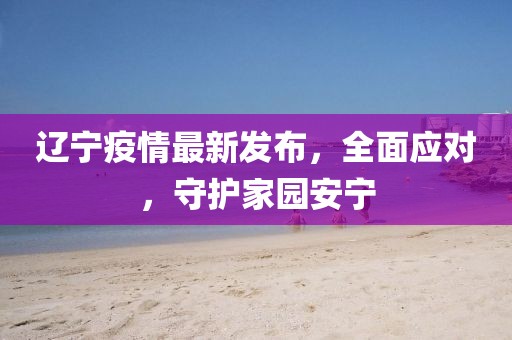 辽宁疫情最新发布，全面应对，守护家园安宁