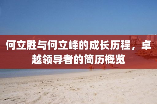 何立胜与何立峰的成长历程，卓越领导者的简历概览