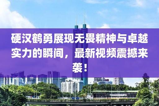硬汉鹤勇展现无畏精神与卓越实力的瞬间，最新视频震撼来袭！