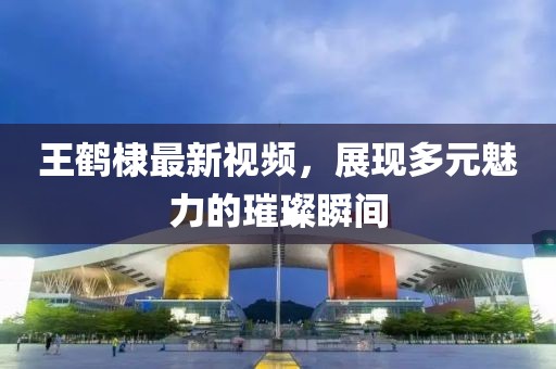 王鹤棣最新视频，展现多元魅力的璀璨瞬间
