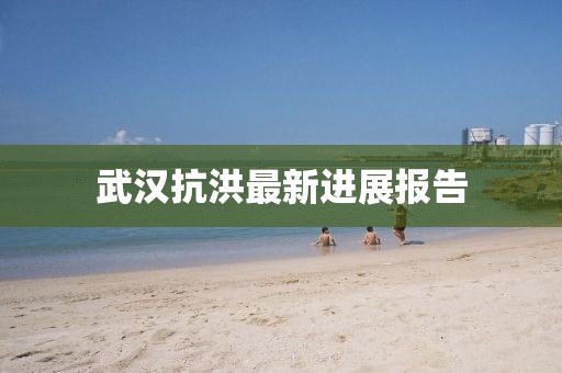 武汉抗洪最新进展报告
